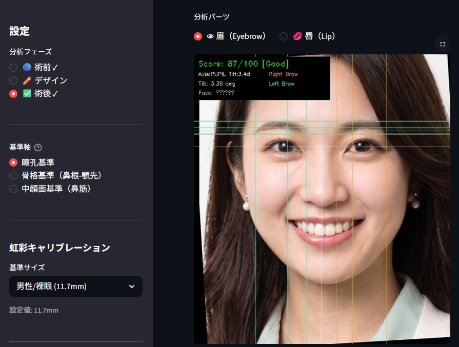 アップロード後の解析画面